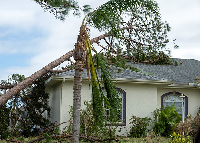 The Most Serious Roof Emergencies You May Face
