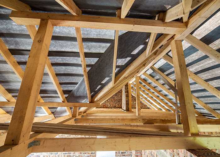What Hides Under Your Old Roof