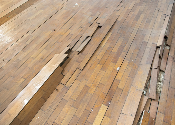 Document the Damage Before You Repair
