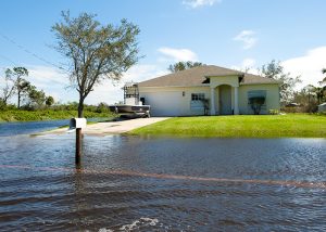 Stop Water Damage – Dryout and Cleanup Guide in Houston